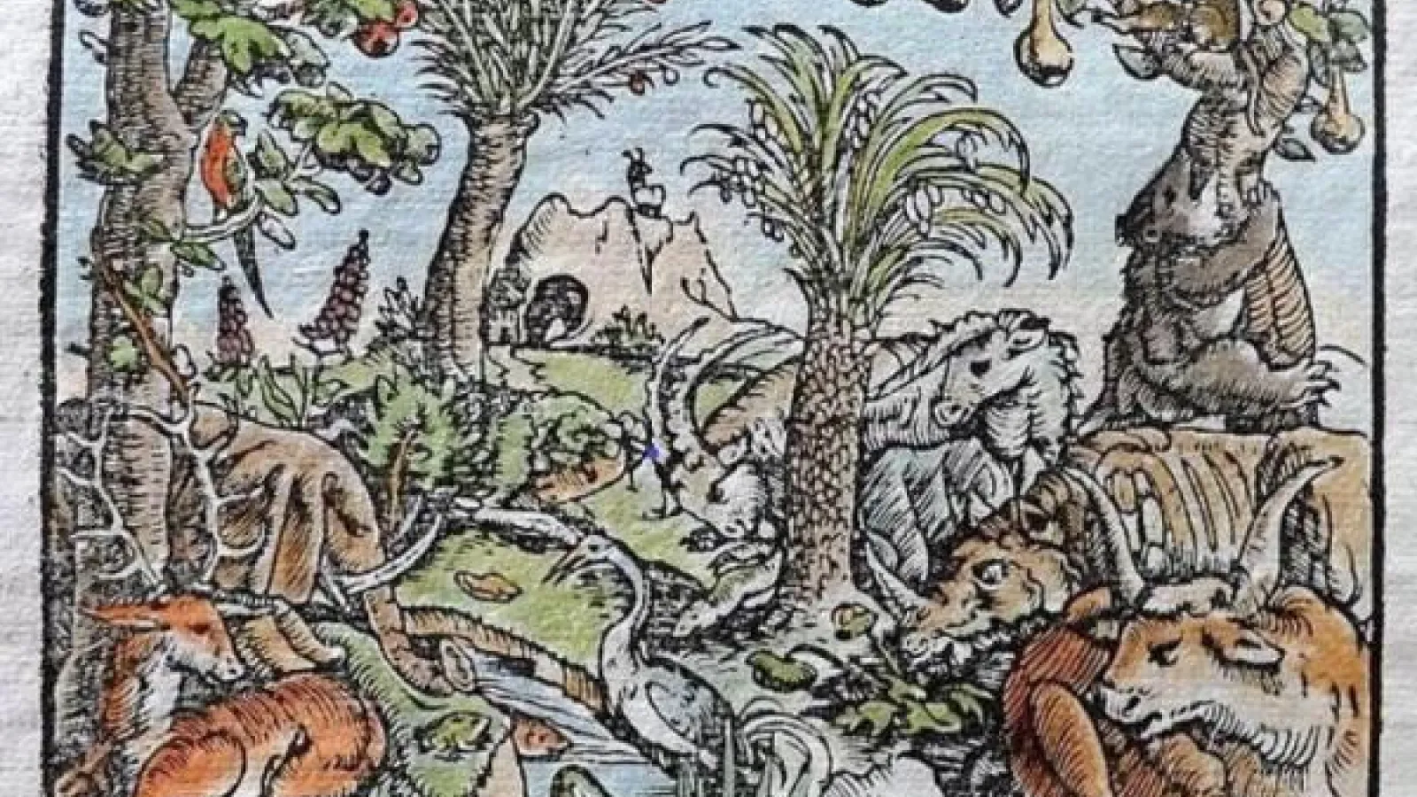 Renaissance painting of a tropical ecosystem.