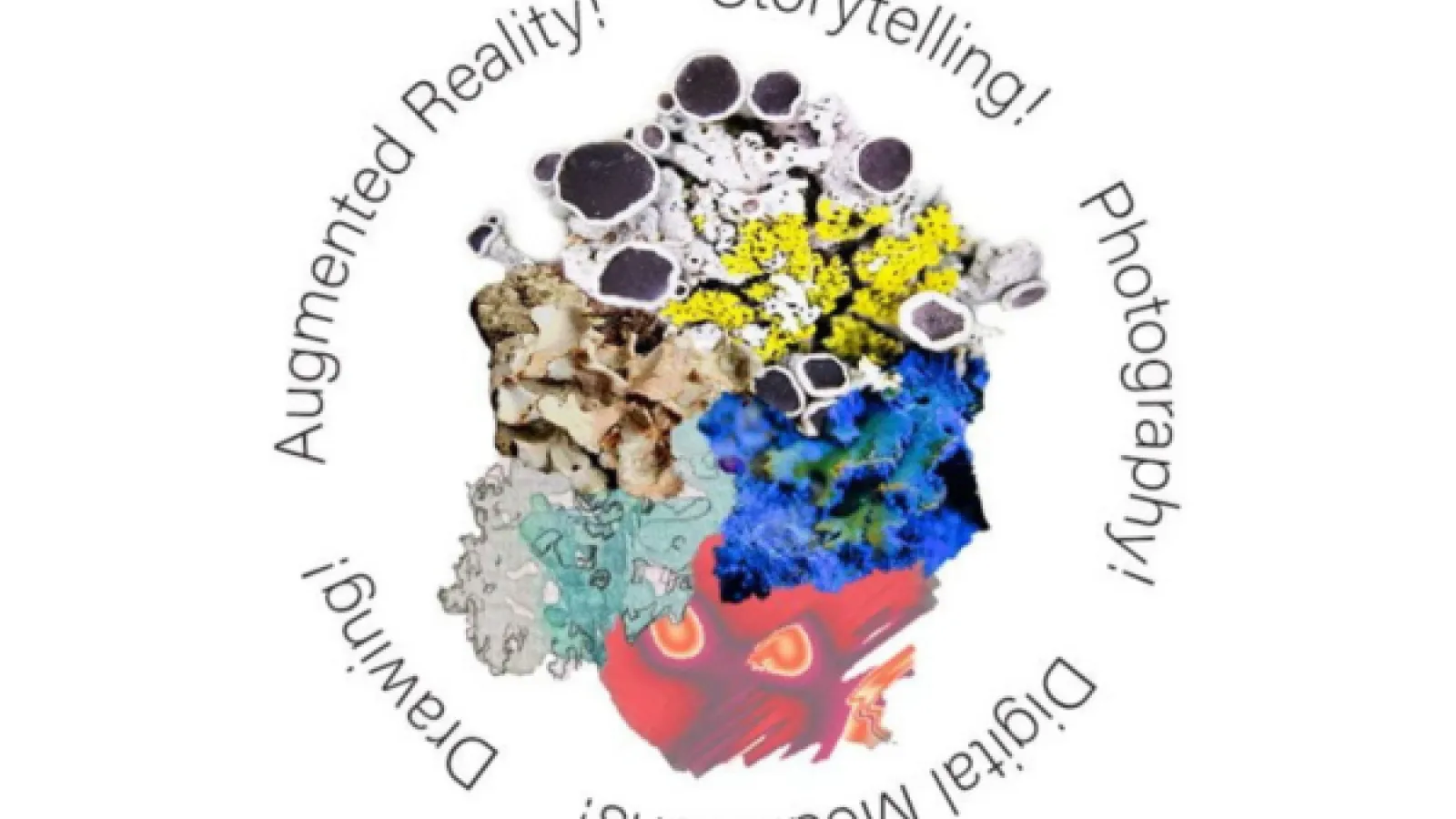 Different types of lichen surrounded by art medias "Drawing! Augmented Reality! Storytelling! Photography!"