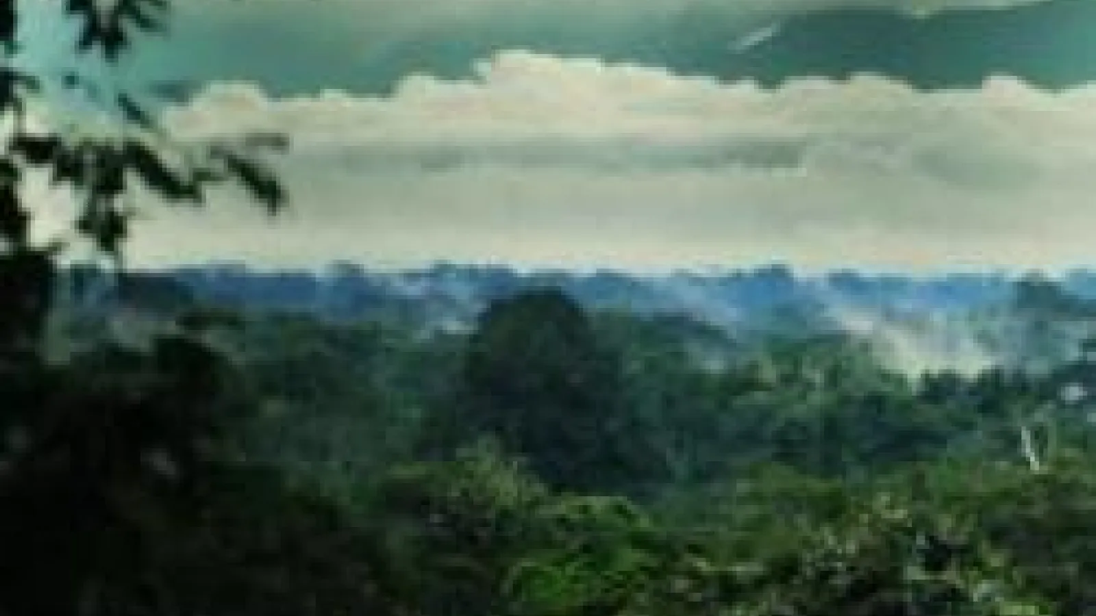 lush mountains with clouds above
