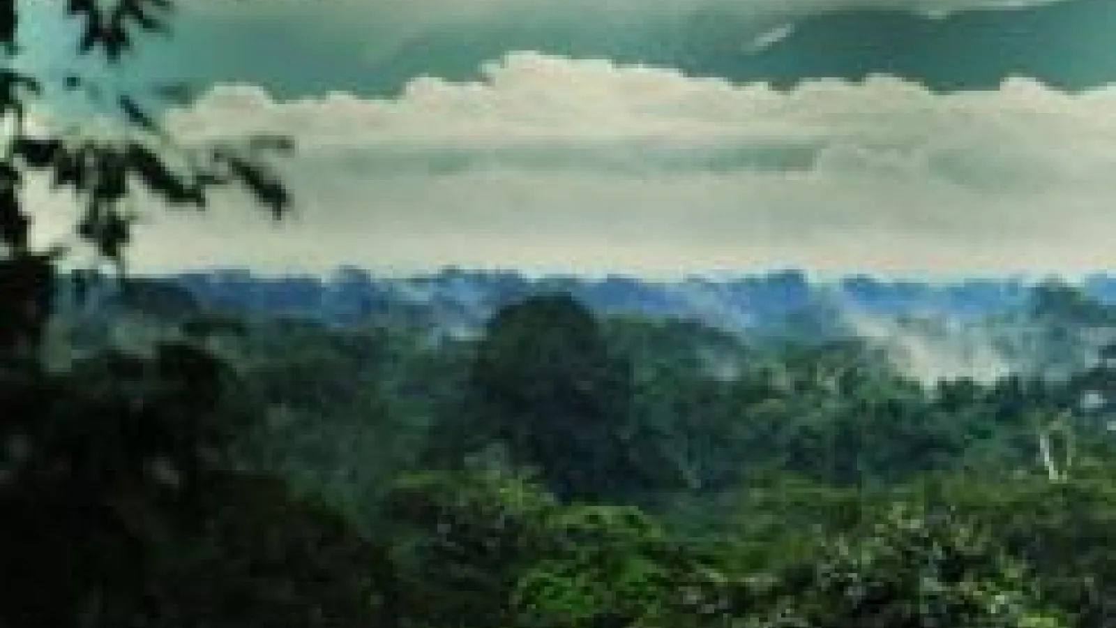 lush mountains with clouds above