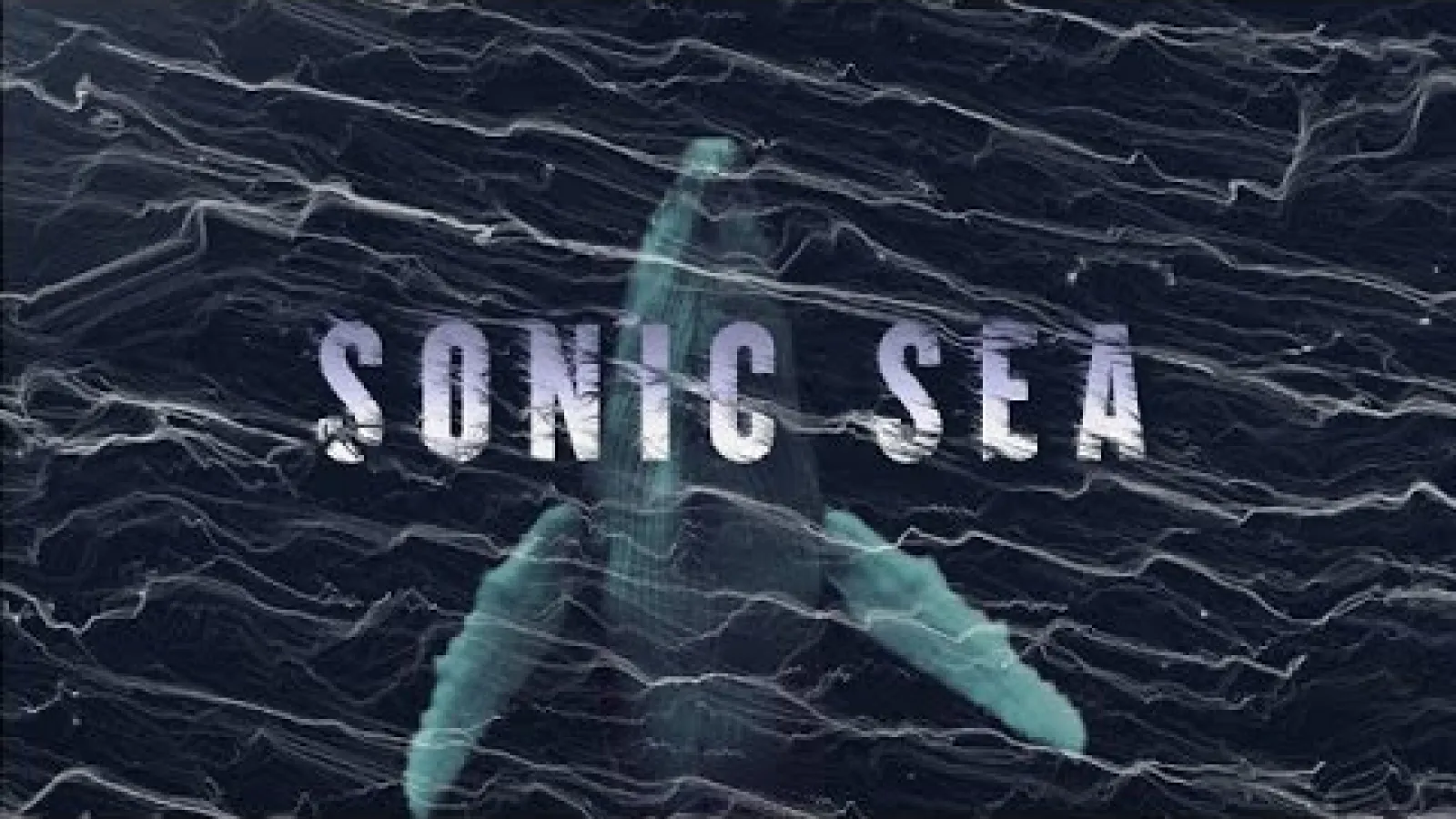Sonic Sea film poster