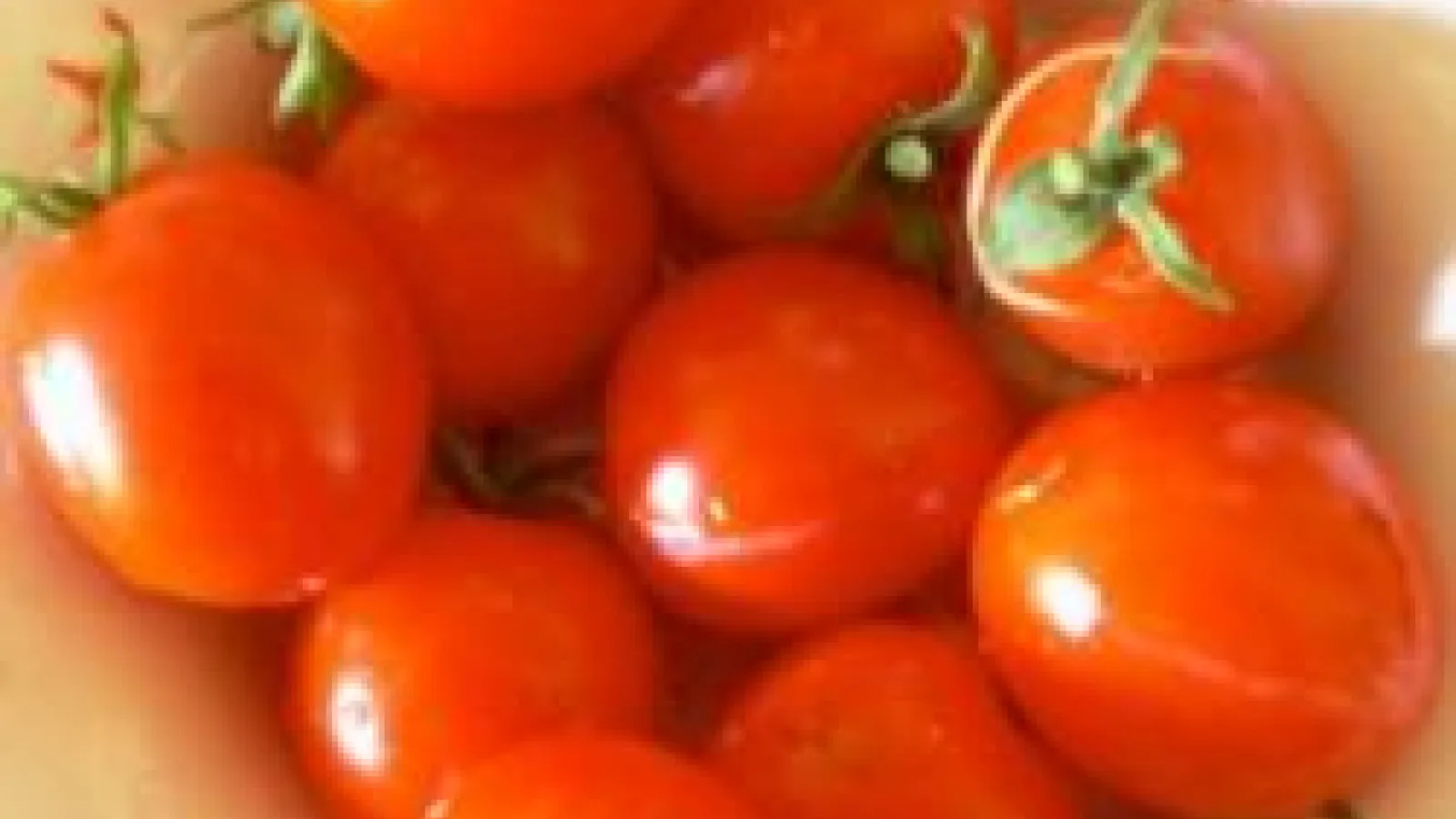 Tomatoes