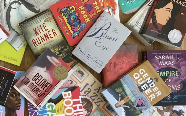 Collection of commonly banned books in the United States.