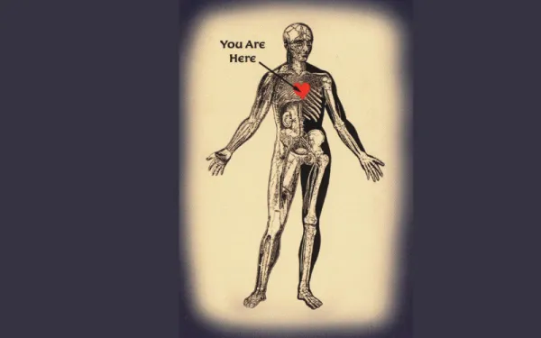 (Image: Human skeleton with red heart) Medical Humanities Logo
