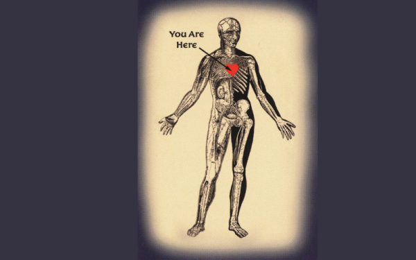 (Image: Human skeleton with red heart) Medical Humanities Logo