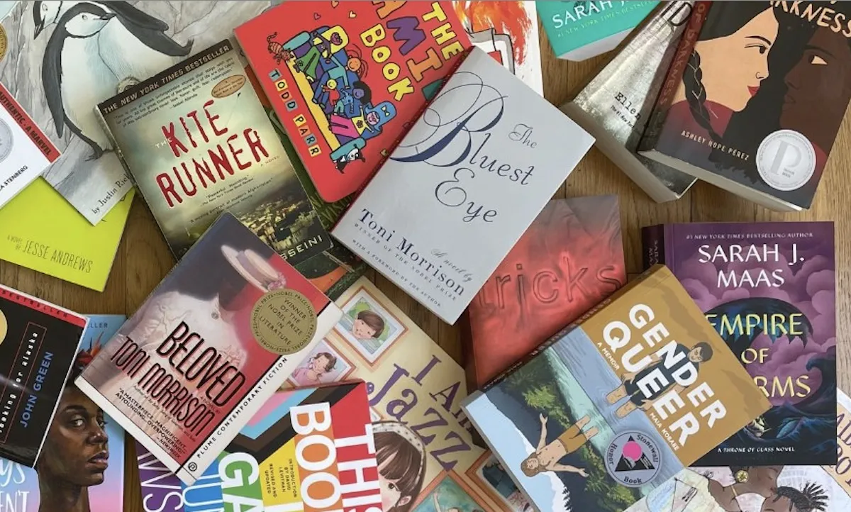 Collection of commonly banned books in the United States.