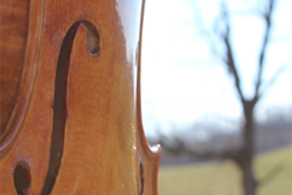 violin