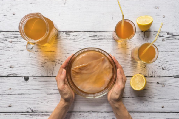 hands holding a scoby fungus with glasses of kombucha
