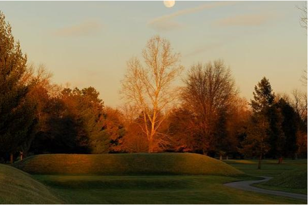 A tree is in the middle of the frame and ancient native american mounds are around the tree