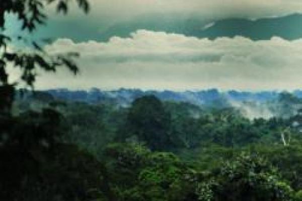 lush mountains with clouds above