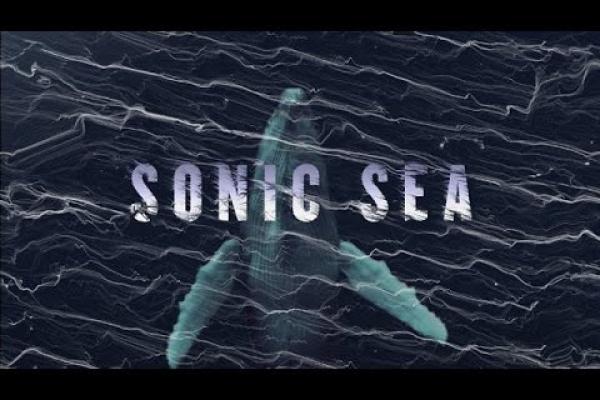 Sonic Sea Film Poster Sonic Sea film poster